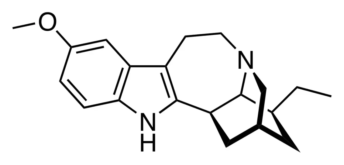 A skeletal chemical structure: a two-ring indole bearing a methoxy group, fused to a seven-membered ring, with a bridged cage of carbons carrying an ethyl group at the right.