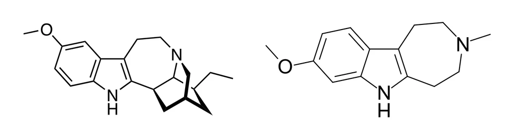 Two skeletal chemical structures side by side on white. On the left, ibogaine: a large fused polycyclic cage with an indole ring and a methoxy group. On the right, tabernanthalog: a much smaller molecule with a single ring system, a bridged amine and a methoxy group.