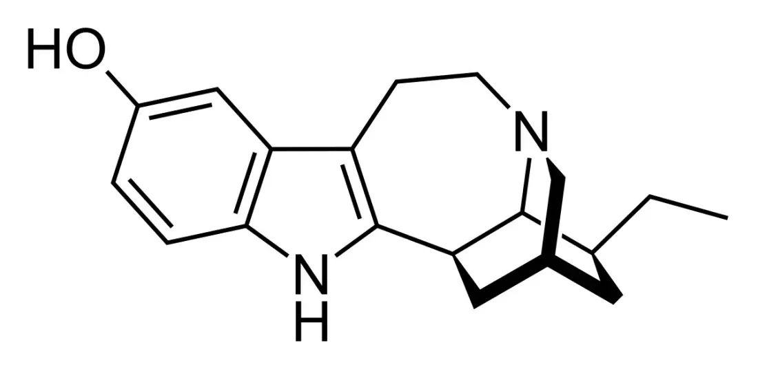 A skeletal chemical structure closely resembling ibogaine: the same indole, seven-membered ring and bridged cage, but with a hydroxyl group on the aromatic ring in place of a methoxy group.
