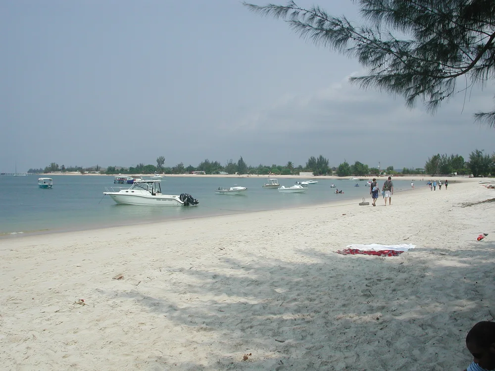 A low sandy headland at the mouth of an estuary, seen from the water, with a line of palms and forest behind a pale beach under a bright sky.