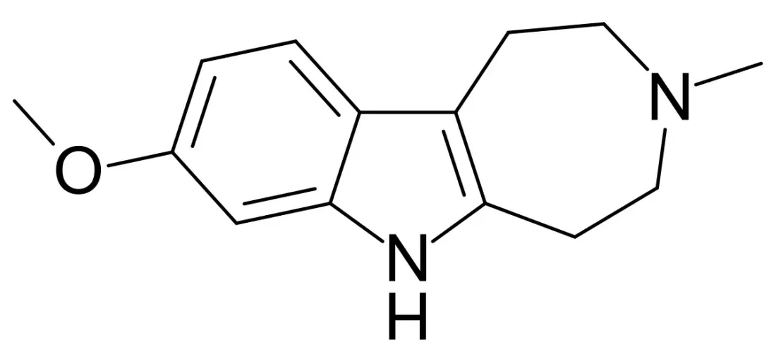 A small skeletal chemical structure: a methoxy-bearing indole fused to a seven-membered ring carrying a methyl group on its nitrogen, and nothing else.